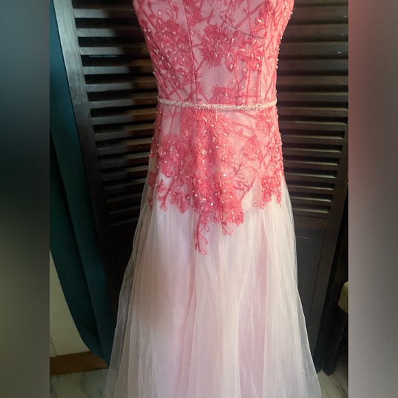 DB Soft Pink Tulle  and  Lace Dress-Sweetheart Bust! - Picture 6 of 9